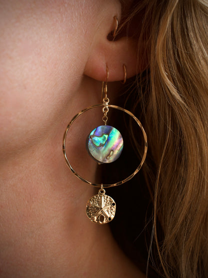Abalone & Sand Dollar Hoop Earrings