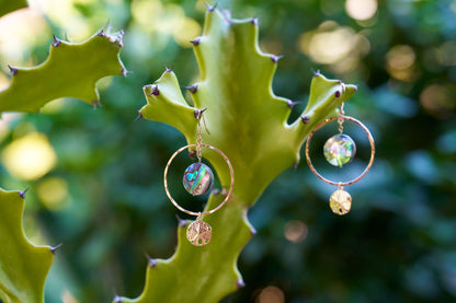 Abalone & Sand Dollar Hoop Earrings
