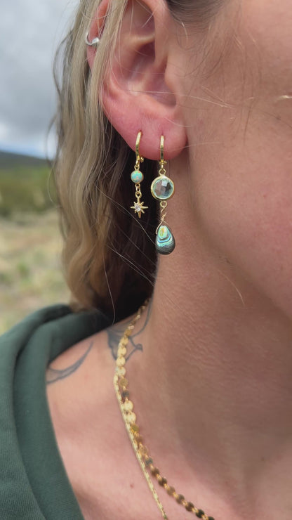 Abalone Drop Earrings - Teal